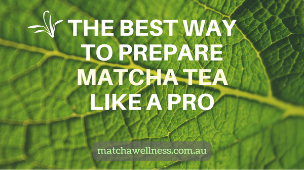 Matcha Tea – How to Make Matcha Tea Like a Pro