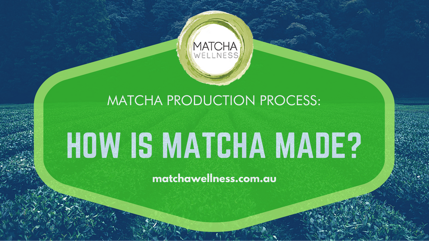 Matcha Production Process – How matcha is made