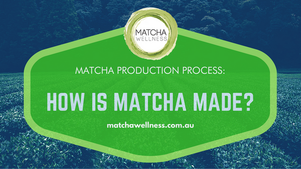 Can I Drink Matcha on an Empty Stomach?, by zenDine