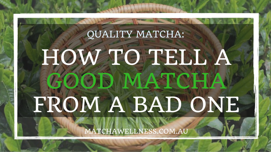 Quality Matcha – How to tell a good matcha from a bad one