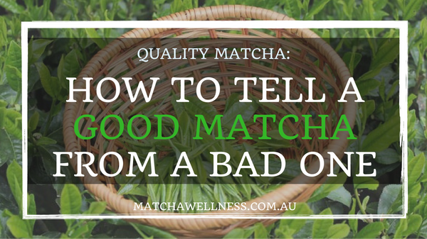 Quality Matcha – How to tell a good matcha from a bad one