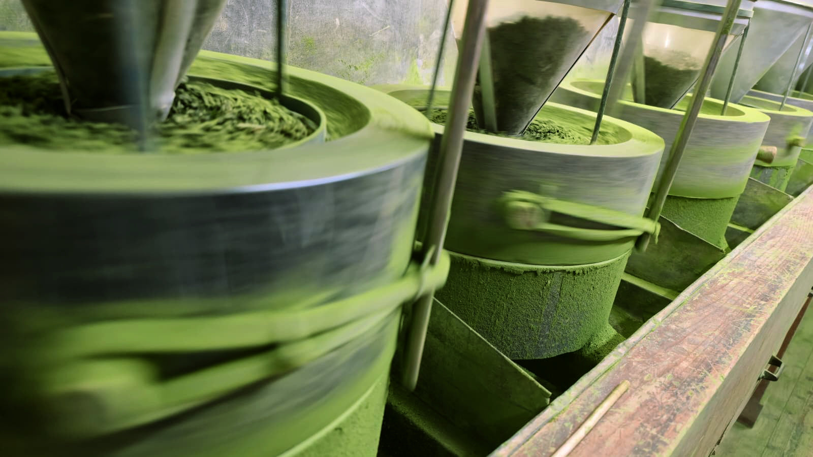 Matcha Production Process – How matcha is made